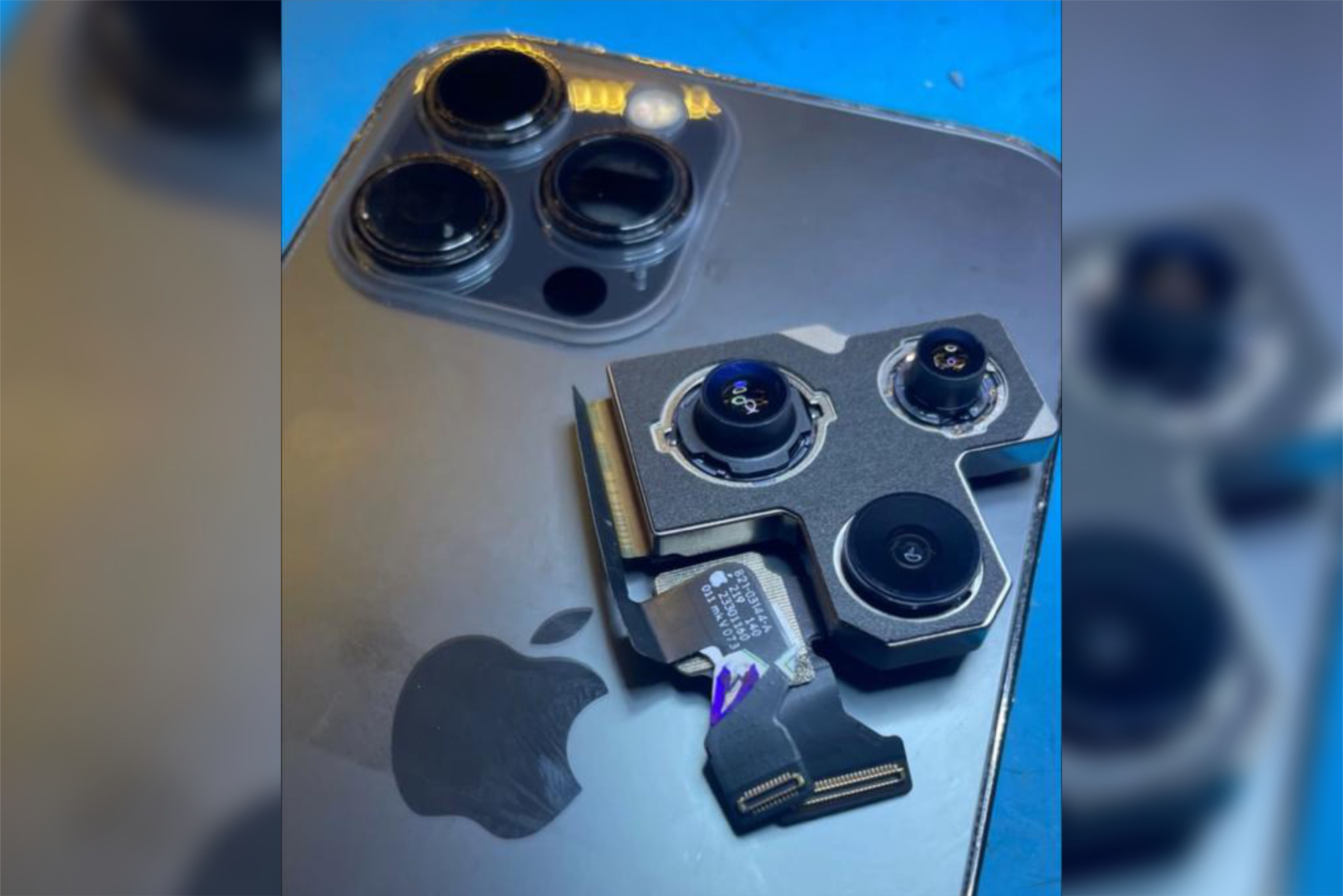 Conector de celular